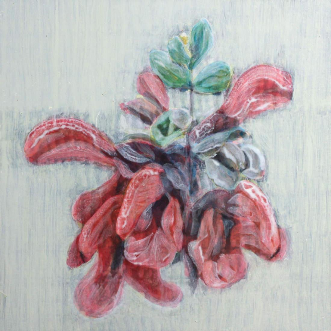 Wayne Vivier - Local image 136